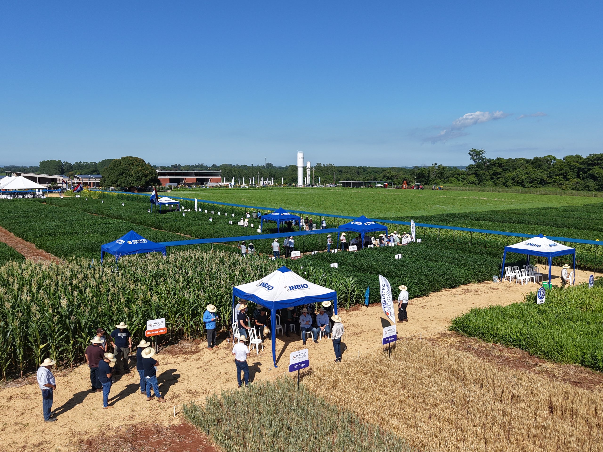 El INBIO realizó su Jornada Tecnológica, de modo a presentar los avances que tiene en I+D, principalmente las líneas de mejoramiento genético en soja, maíz y trigo que se viene desarrollando en el INBIO.