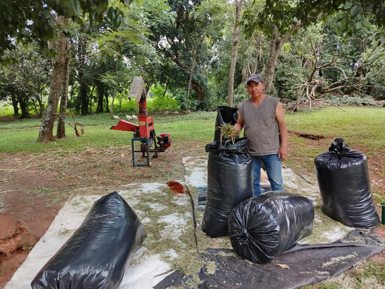 Productores de la agricultura familiar en Coronel Bogado y alrededores van rentabilizando mejor sus fincas al darle valor agregado a su producción de maíz y soja, con la fabricación de ensilaje.