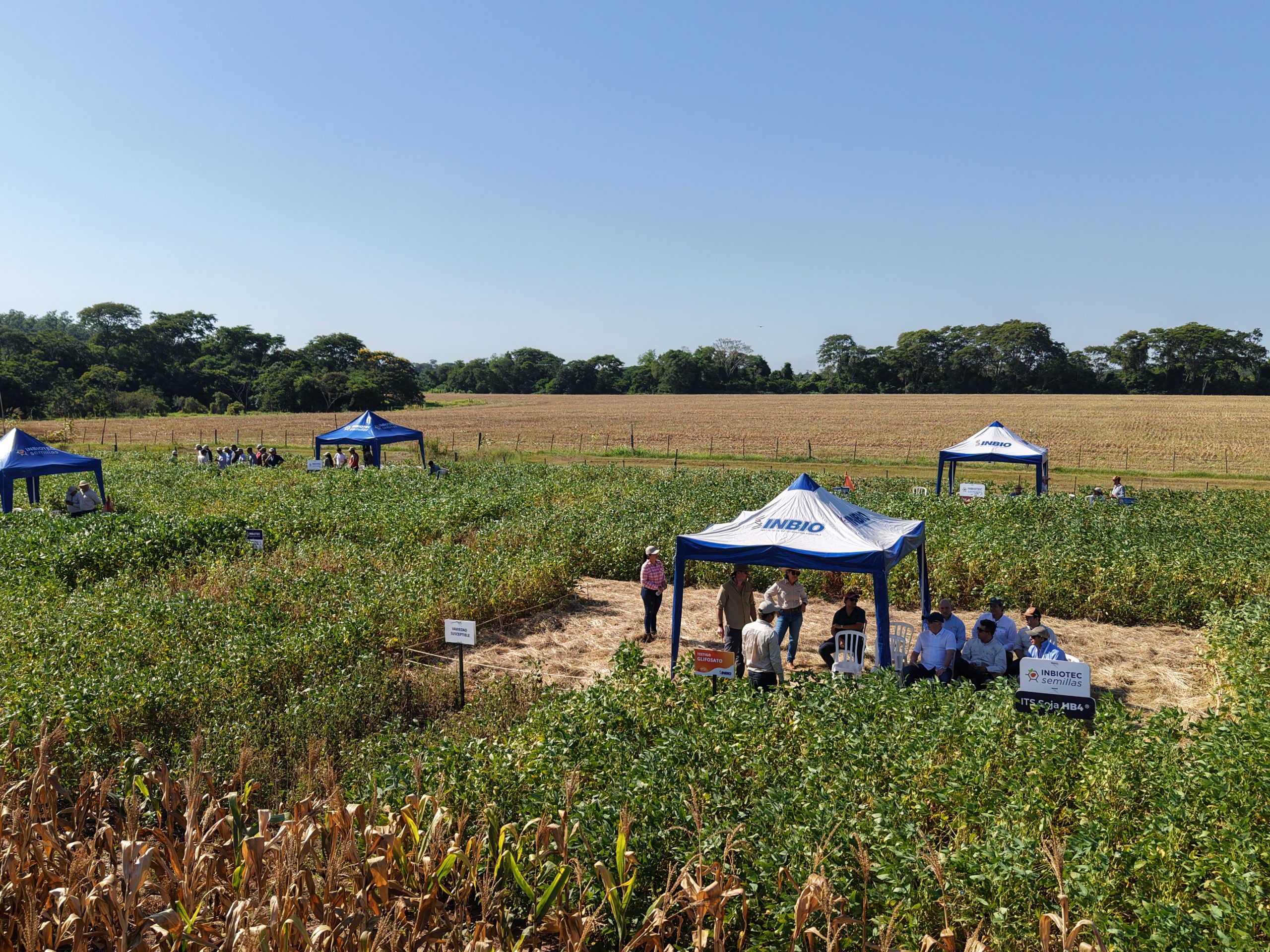 INBIO realizó el día de campo del Programa de Mejoramiento en Soja, en la estancia Pfadfinder, donde se expusieron las diferentes líneas de soja que están en etapa pre comercial, así como las que le siguien a estas en el proceso de mejoramiento.