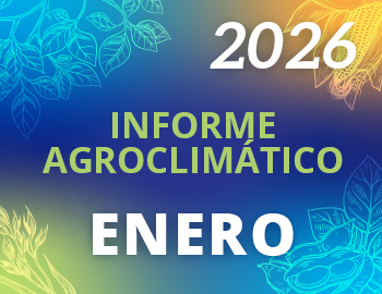 Enero 2026