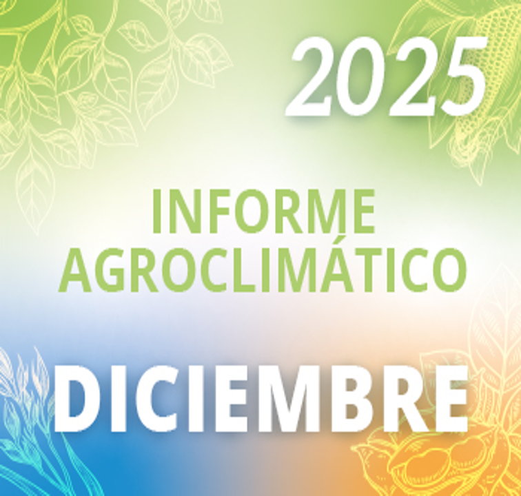 Diciembre 2025