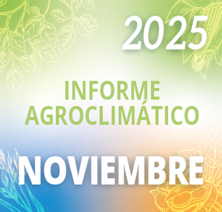 Noviembre 2025