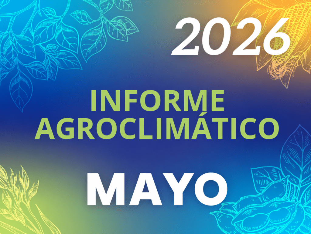 Mayo 2026