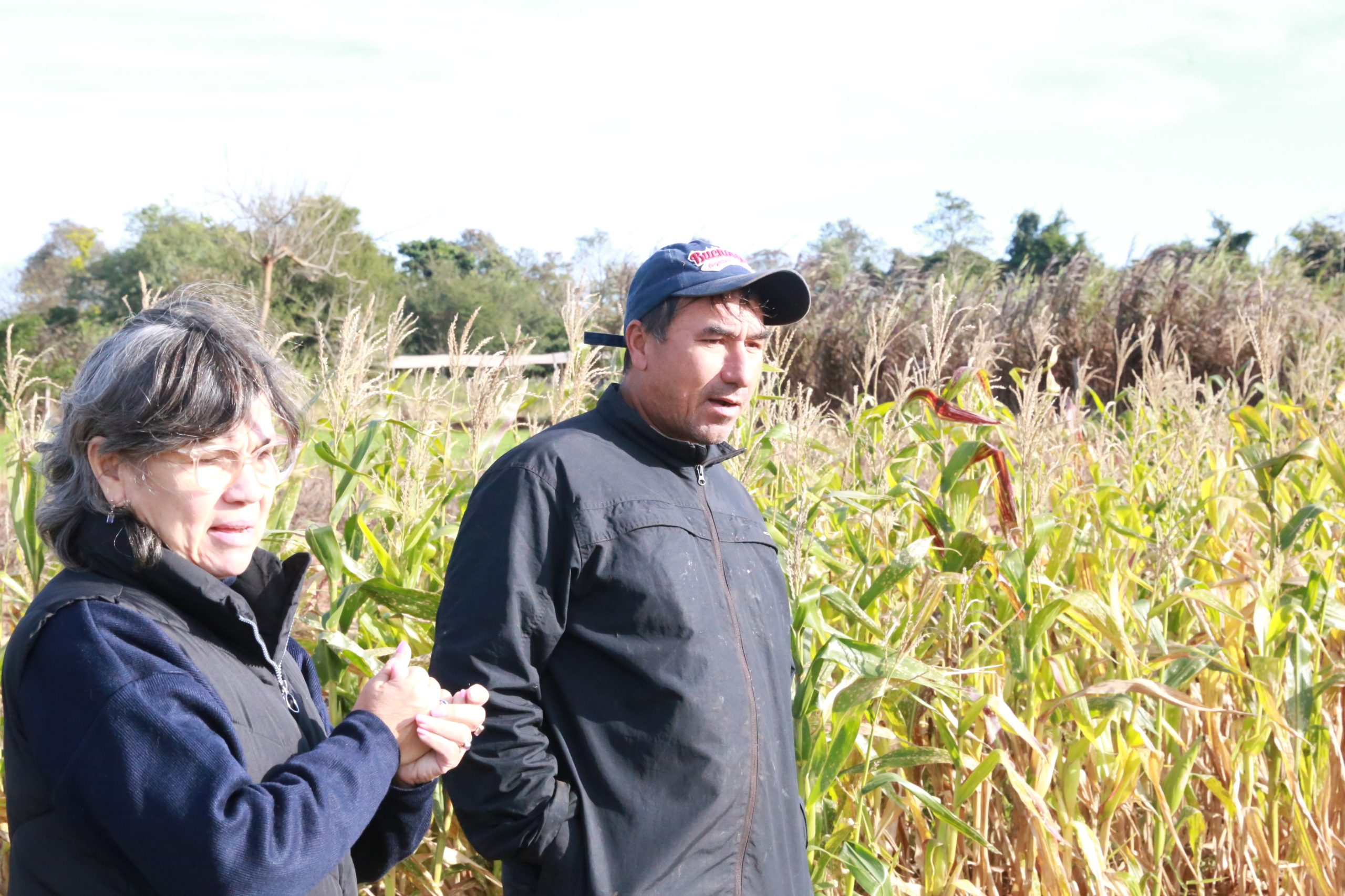 El cooperador del Programa de Agricultura Sostenible con Biotecnología (PASB), Dionisio Páez de San Joaquín, dpto. de Caaguazú, además de capacitar a sus vecinos sobre el manejo sostenible de las fincas familiares.